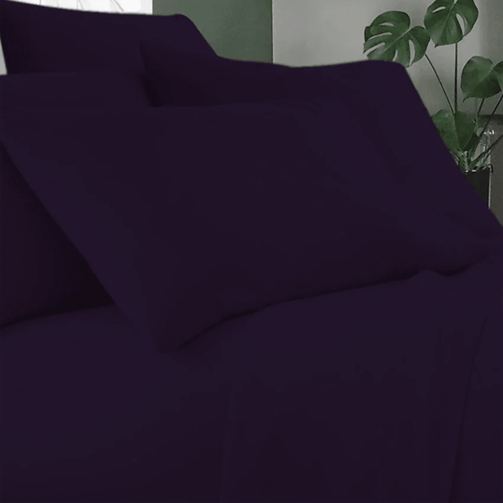 Eggplant