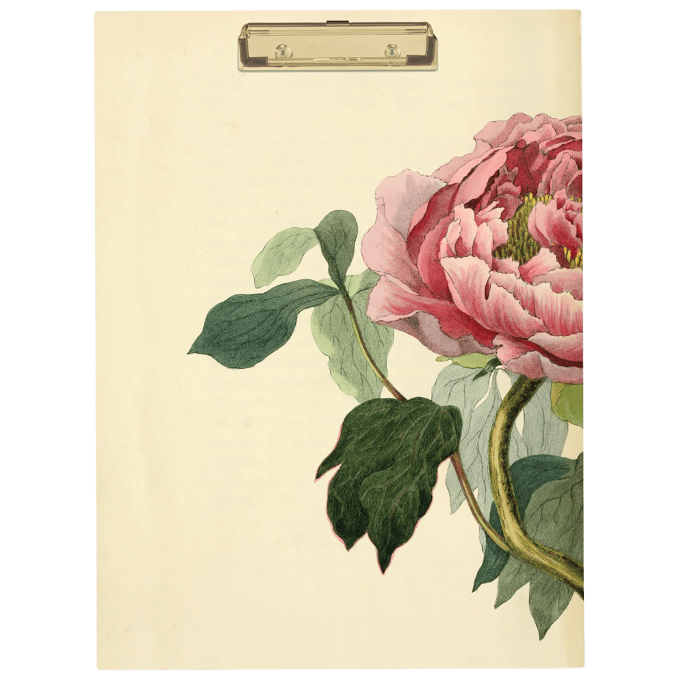 Floral