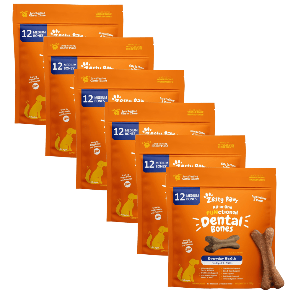All-in-One Functional Dental Bone (Regular)