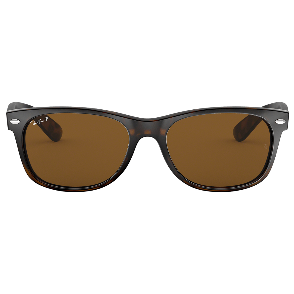 Polarized Tortoise