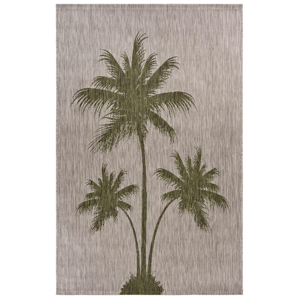Palm Breeze
