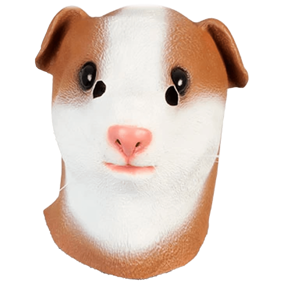 Guinea Pig