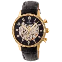 Black/Gold