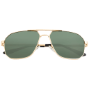 Gold Frame/Black Lens