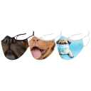 Pugs