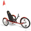 The Three-Wheeled Cruiser