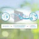 The Personal Oxygen Bar