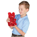 The World's Largest Gummy Bear