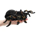 The Remote Controlled Giant Tarantula