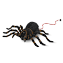 The Remote Controlled Giant Tarantula