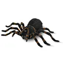 The Remote Controlled Giant Tarantula