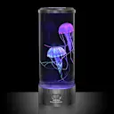 The Hypnotic Jellyfish Aquarium