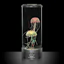 The Hypnotic Jellyfish Aquarium