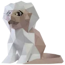 Tamarin