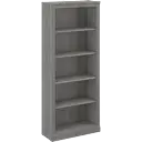 Modern Gray