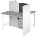 White/Platinum Gray
