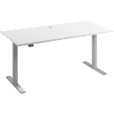 White/Cool Gray Metallic
