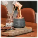 Uses high-concentration bio ethanol