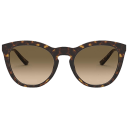 Havana Frames / Brown Gradient Lenses