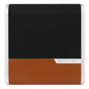 Silver/Brown