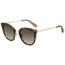 Tortoise Havana (02IK)