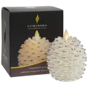 Silver Pinecone
