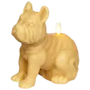Frenchie in Gold