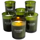 Green Herbal
