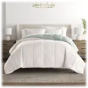 Eucalyptus Reverse