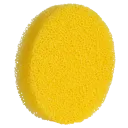 Citrus