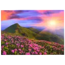 Mountain Sunrise 1000pc