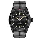 Grey-Black