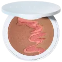 Bronzer