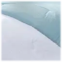 Aqua