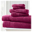 Raspberry Radiance