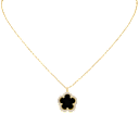 Black/Gold
