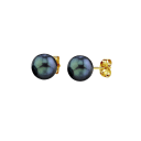 Tahitian Pearl