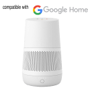 Google Home Not Included