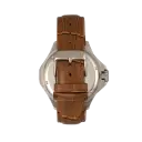Light Brown/Silver