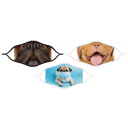 Pugs