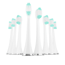 Eight DuPont Engineered Brush Heads