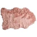 Dusty Rose
