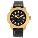 Gold/Black