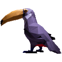 Toucan