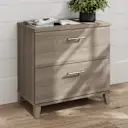 Ash Gray