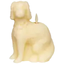 Staffordshire Spaniel in Cream