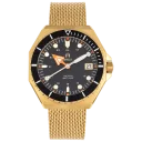 Gold/Black