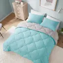 Teal/Dark Grey
