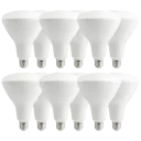 BR40 - 12 Pack