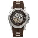 Brown/Silver